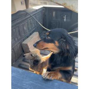 Lost 1 Martin (CA)