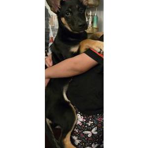 Lost 1 Daisy (Georgia)
