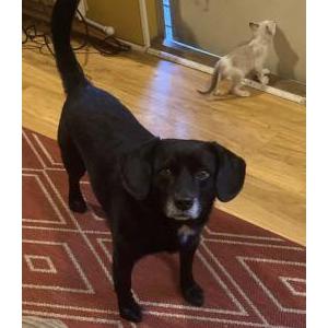 Lost 1 Kash (North Carolina)