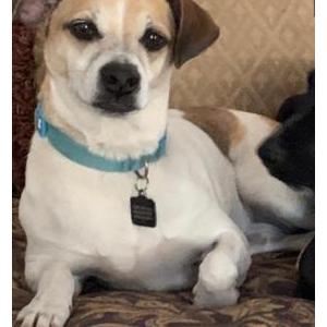 Lost 1 Molly (GA)