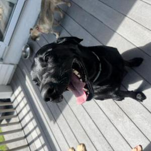 Lost 1 Crosby (Connecticut)