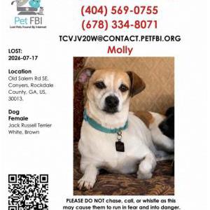 Lost 1 Molly (GA)