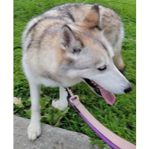Lost 1 Matka (Iowa)