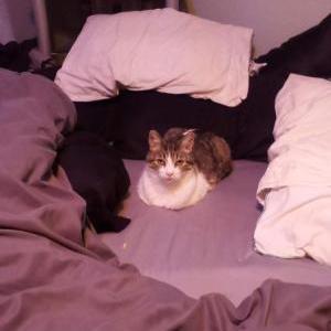 Lost 2 Smush Smush (Colorado)