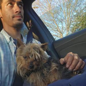 Image of Chewy, GeeGee, Lost Dog