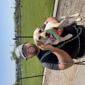 Image of Frankie, Lost Dog
