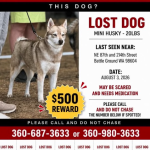 Lost 1 Bridget (Washington)