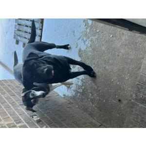 Lost 1 Samson y Candy (Texas)