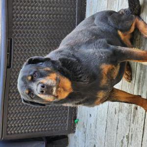 Lost 1 Jack (Pennsylvania)