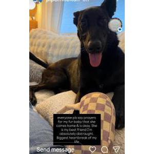 Lost 1 Sable (FL)
