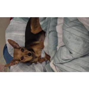 Lost 1 Dempsey (TX)