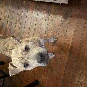 Lost 1 Georgia (Florida)