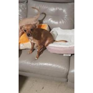 Lost 1 MUSHI (CT)