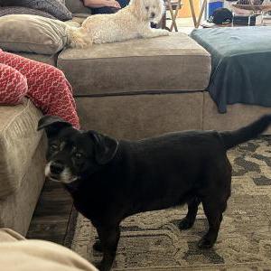 Lost 1 Vin (California)