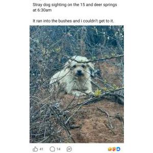 Lost 1 Coco (CA)