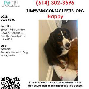 Lost 1 Happy (Ohio)