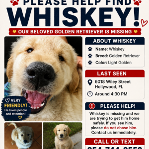 Image of whiskey, Lost Dog