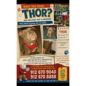 Lost 1 Thor (GA)