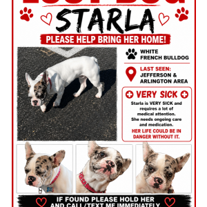 Lost 1 Starla (CA)