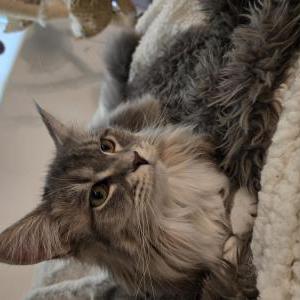 Lost 2 Stormcloud (California)