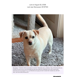 Image of Princess Leia, Lost Dog