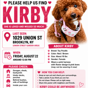 Image of Kirby, Lost Dog