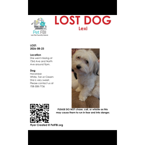 Image of Lexi, Lost Dog