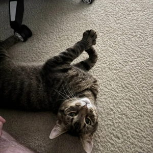 Lost 2 Charm (Virginia)