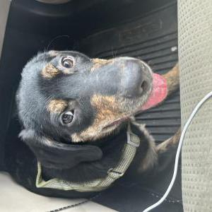 Lost 1 Titan (Georgia)
