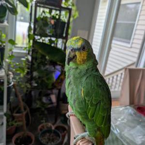 Lost 3 Ava (New Jersey)