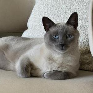 Lost 2 Stevie (New Jersey)