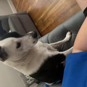 Lost 1 Gator (Texas)
