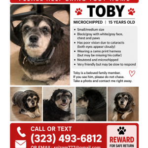 Lost 1 Toby (California)