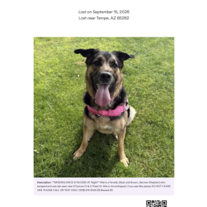 Image of Mia, Lost Dog