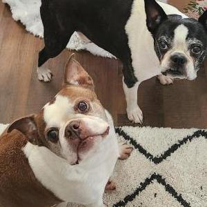 Lost 1 Twister & Coco (CA)