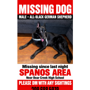 Image of Creed, Lost Dog