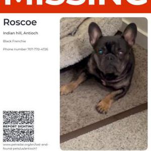 Lost 1 Roscoe (CA)