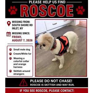 Lost 1 Roscoe (New York)