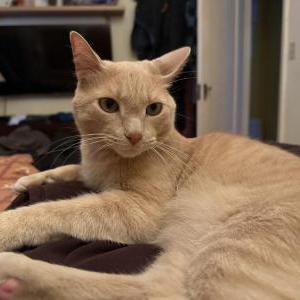 Lost 2 Nuthers (California)
