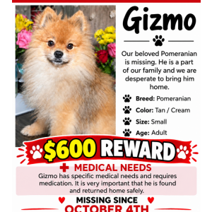Lost 1 Gizmo (Illinois)