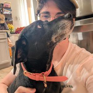 Image of Molly, Lost Dog