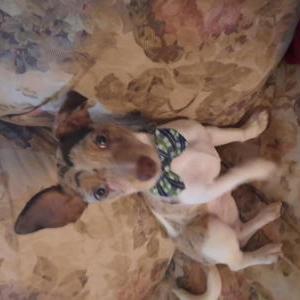 Lost 1 Marley (Florida)