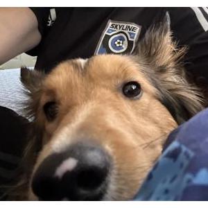 Lost 1 Jasper (Colorado)