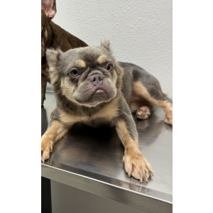 Lost 1 Roxy (Texas)