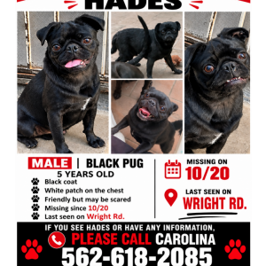 Image of Hades, Lost Dog