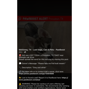 2nd Image of Kodi, Lost Dog