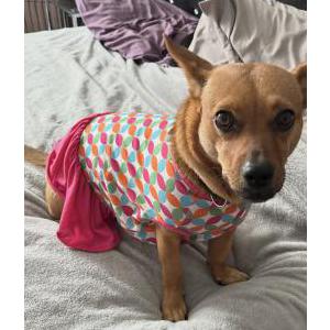 Lost 1 Mia (Alabama)