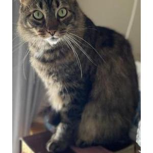 Lost 2 Zeus (SC)