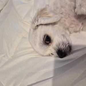 Lost 1 Marine (California)