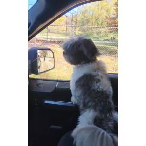 Lost 1 Coco (New York)